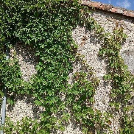 Le Petit Cochon Chambre D' Hotes Haims Εξωτερικό φωτογραφία