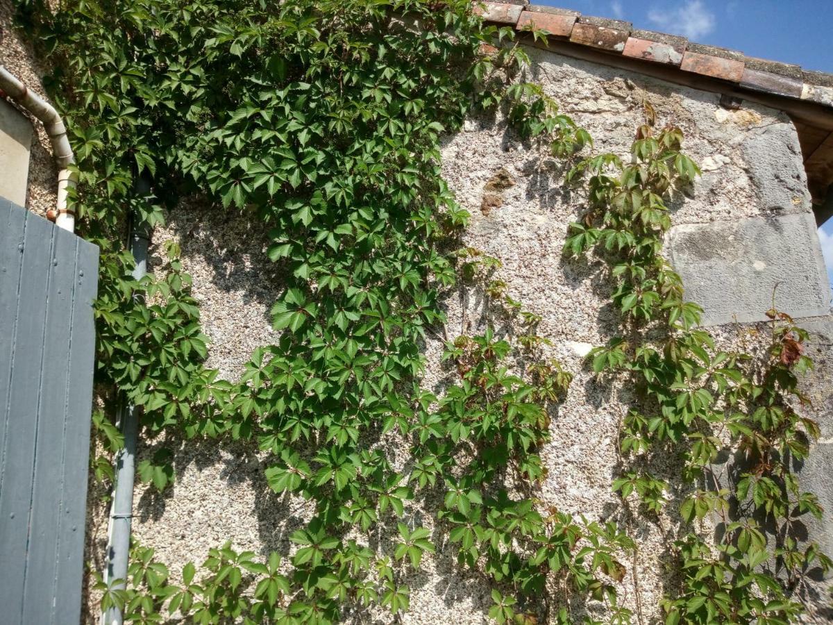 Le Petit Cochon Chambre D' Hotes Haims Εξωτερικό φωτογραφία
